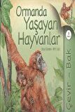 Çevir Bak - Ormanda Yaşayan Hayvanlar