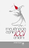 Mevlana’da Aşkın 1001 Anlamı