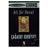 Çağatay Edebiyatı ve Ali Şir Nevai