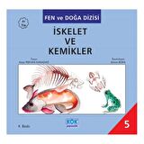 İskelet ve Kemikler