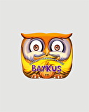 Hayvanlar Aleminin En Bilgesi : Baykuş