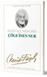 Çöle İnen Nur