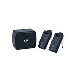 DK Technology İW-30 Kablosuz Gitar Sistemi