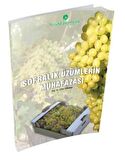 Sofralık Üzümlerin Muhafazası Kitabı