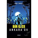 Bir Gece Ankara'da