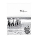 Bay T / Yitik Ülke Yayınları / Katerina Ilopoulou