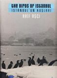 İstanbul’un Kuşları / The Birds ofm Istanbul