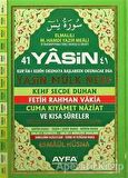 41 Yasin Rahle Boy Ayfa052