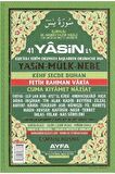 41 Yasin Orta Boy (AYFA050)