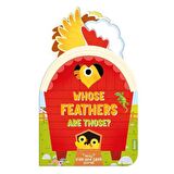 Auzou Noisy Hide and Seek - Whose Feathers are Those