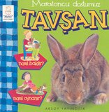 Maratoncu Dostumuz Tavşan