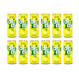 Çaykur Didi Limon Aromalı Soğuk Çay 250 ml x 12 Adet