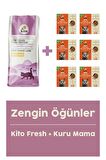 Yavru Kedi Maması 2 kg + Kuzu Etli Kito Fresh X 6
