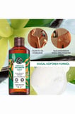 Egzotik Vanilya Duş Jeli Seti 600 ml Yedek + 400 ml Nemlendirici Vegan