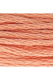 Muline 8 Metre Nakış Ipliği 09575