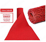 120X100CM KIRMIZI KIVIRCIK PASPAS-HALI KAYMAZ YOLLUK LİDYA 14MM