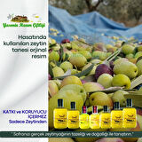 Naturel Sızma 0,1 Asit Zeytinyağı 500 ML Cam – 224 mg/kg Polifenol