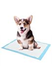 Kedi Köpek Çiş Pedi Serme Bezi Yatak Koruyucu Örtü 90x60 30 Adet