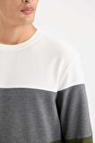 DeFacto Regular Fit Bisiklet Yaka Renk Bloklu Jakarlı Sweatshirt D5393AX24AUGN351