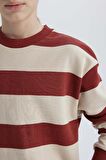 DeFacto Erkek Çocuk Oversize Geniş Kalıp Bisiklet Yaka Çizgili Sweatshirt D5677A824WNER37
