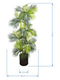 Areka Yapay Ağaç, 6 Gövde 6 Baş, 185 cm, Bambu Gövde, Metal Saksılı