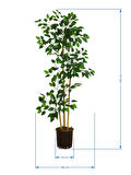 Yapay Benjamin Ağacı, 3 gövde, 120cm, saksılı