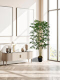Bambu (Feshka) Yapay Ağaç 3 Gövde 170cm, Saksılı