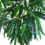 Bambu (Feshka) Yapay Ağaç 3 Gövde 170cm, Saksılı