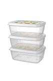 Saklama Kabı 3 Lü Set 1200 Ml---AP-9258A