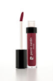 Pierre Cardin Staylong Lipcolor-Kissproof – Uzun Süre Kalıcı Lipgloss - Exhilarator - 381 - 5 ml
