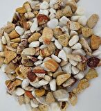 Saksı Dibi Taşı 4 Kg 1-2 cm Karışık Renkli Çakıl Taşı Vazo Dibi T