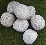 Benekli Dolomit Taş 3 Kg 6-10 Cm Bahçe Dere Taşı Çakıl Taşı