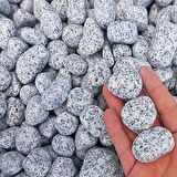 Benekli Dolomit Taş 20 Kg 2-4 Cm Granit Bahçe Dere Taşı Çakıl Taşı
