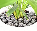 Benekli Dolomit Taş 2 Kg 2-4 Cm Granit Bahçe Dere Taşı Çakıl Taşı