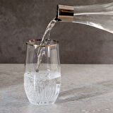 Aryıldız Platin Su Seti 25 Parça