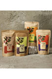 Filtre Kahve ve Bitki Çayı French Press &Filtre Kahve & Kupa Bardak &Işıklı Küre Hediye Seti