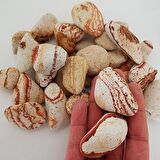 Sarı Çizgili Dolomit Taş 1 Kg 2-4 Cm Renkli Dere Taşı Çakıl Taşı
