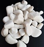 Dolomit Taş 6 Kg 4-6 Cm Beyaz Dere Taşı Çakıl Taşı Bahçe Süs Taş