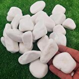 Dolomit Taş 6 Kg 4-6 Cm Beyaz Dere Taşı Çakıl Taşı Bahçe Süs Taş