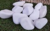 Dolomit Taş 1 Kg 4-6 Cm Beyaz Dere Taşı Çakıl Taşı Bahçe Süs Taş
