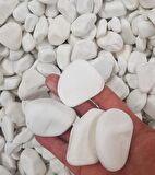 Dolomit Taş 20 Kg 2-4 Cm Beyaz Dere Taşı Çakıl Taşı Bahçe Süs Taş