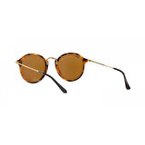 RAYBAN RB 2447 1160/70 49 21 145 3N GUNES GOZLUGU