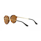 RAYBAN RB 2447 1160/70 49 21 145 3N GUNES GOZLUGU