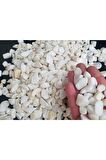 Dolomit Taş 4 Kg 1-2 Cm Beyaz Dere Taşı Çakıl Taşı Bahçe Süs Taşı