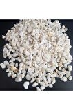 Dolomit Taş 6 Kg 1-2 Cm Beyaz Dere Taşı Çakıl Taşı Bahçe Süs Taşı
