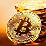 Bitcoin Madeni Hatıra Parası Gold Renk Hediye Sikke Para 1 adet