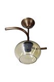 Fuji Bronz Tekli Bal Yatsı Camlı Avize | Kaliteli Modern Metal Avize