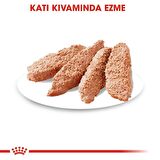 Royal Canin Dermacomfort Yaş Köpek Maması 85g