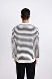 DeFacto Modern Fit Bisiklet Yaka Çizgili Sweatshirt B6498AX24SPWT32