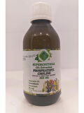 Fosfatidilkolin Süperkritik Mix Yağı 100 ml (PHOSPHATİDYLCHOLİNE SUPERCRİTİCAL MİX OİL)